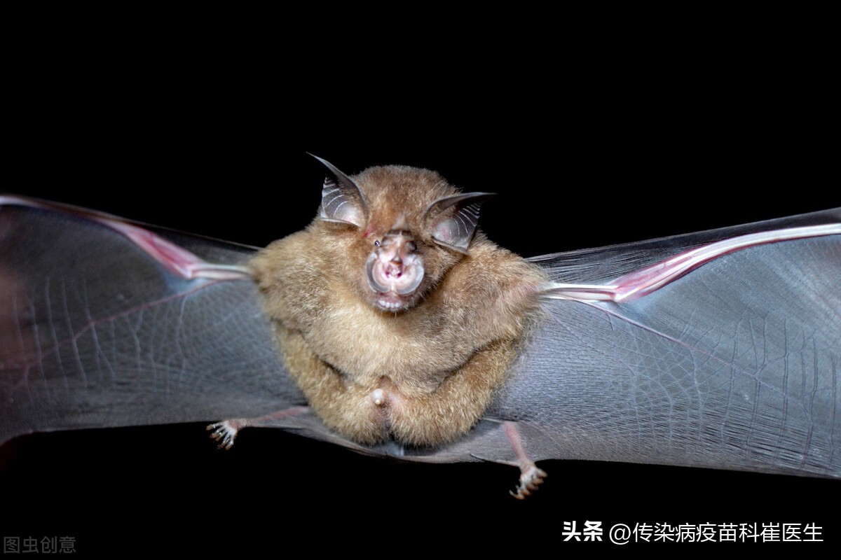 为什么说狂犬病一旦发作无药可救,一直怀疑自己有狂犬病该怎么办