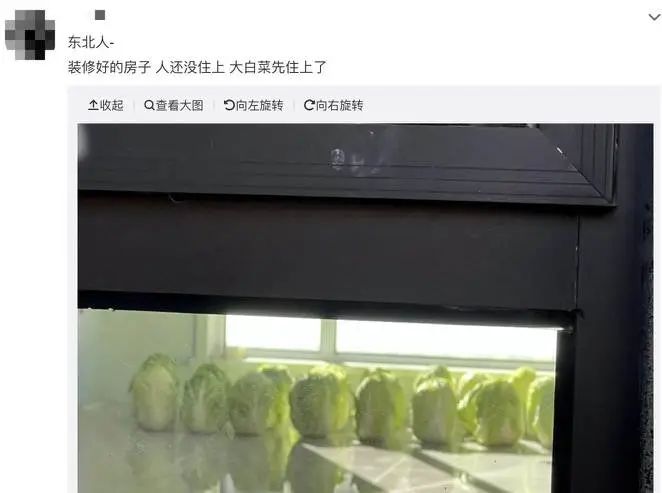 东北人冬天买白菜,盘点东北人买白菜