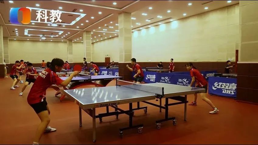 弘扬体育教育,弘扬体育精神坚定文化自信