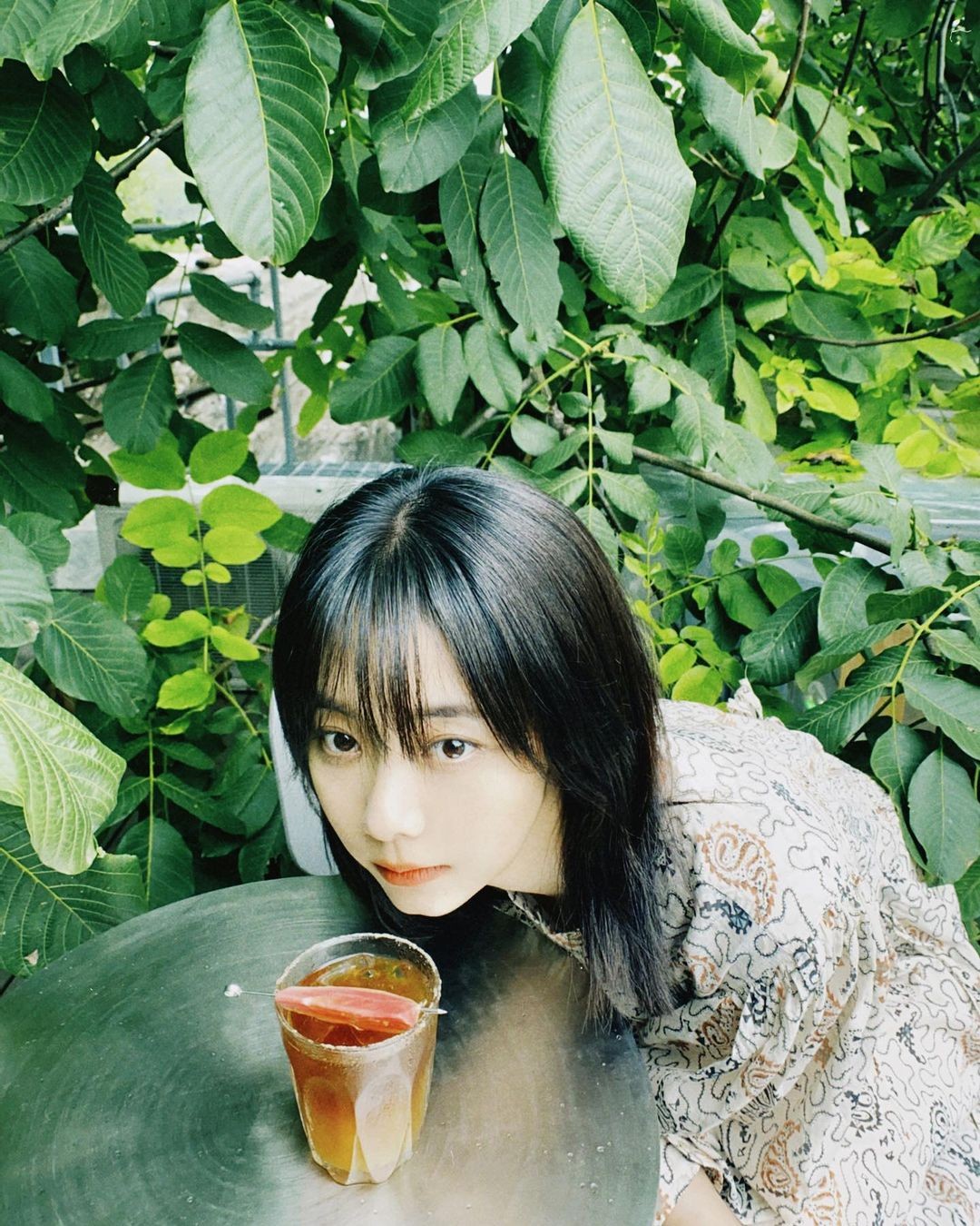 娱乐圈的白月光们有哪些共同点,娱乐圈白月光有哪些