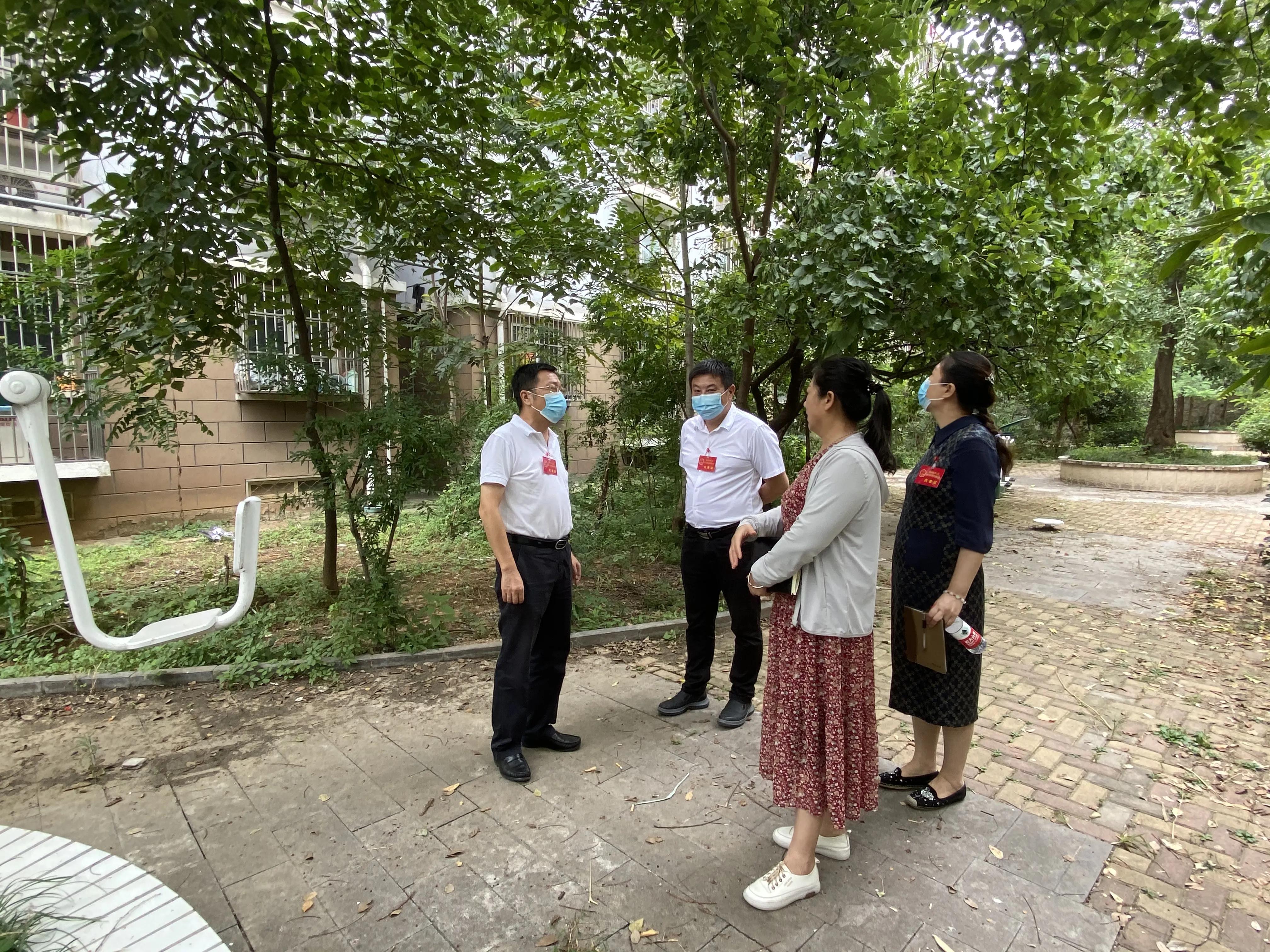 深耕精网微格扩张毛细血管徐州金山街道人大工委拉升民生福满格