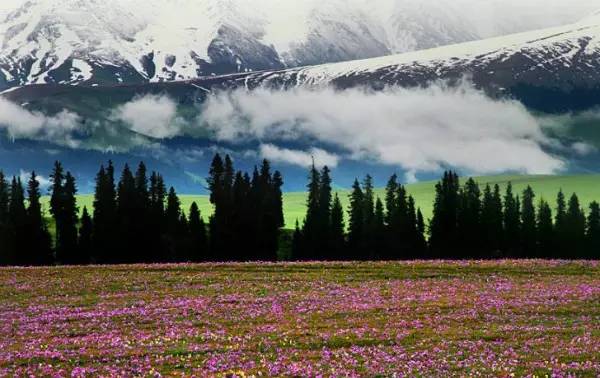 这条惊艳奇绝的公路,行走在天山脊梁上的最美景观公路