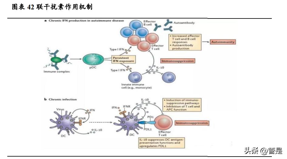 特宝生物乙肝干扰素效果,特宝生物调研记录