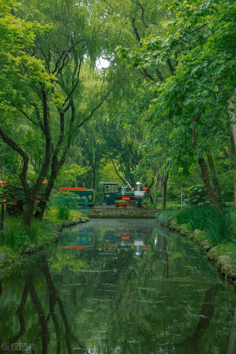 上海踏青2022,上海踏青最佳景点2021