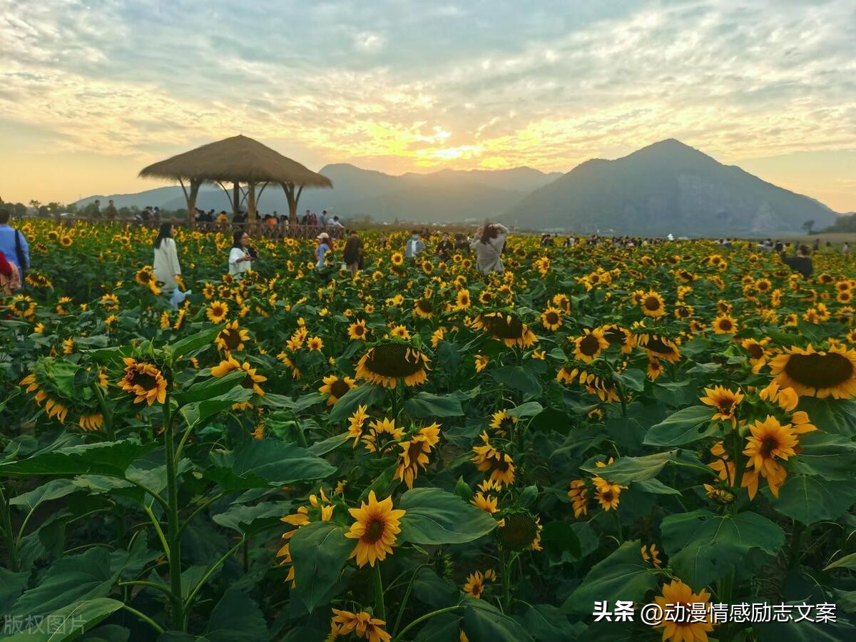 生活的舞台，心情的起伏，成长的舞台