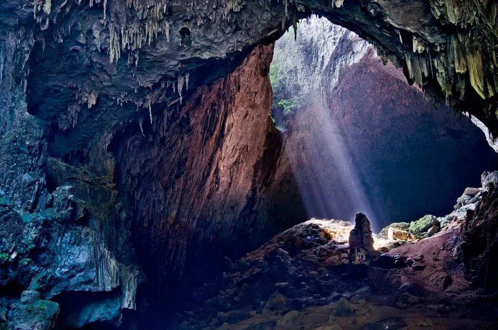 猫咪走太空步原视频最火,猫咪壁虎漫步视频