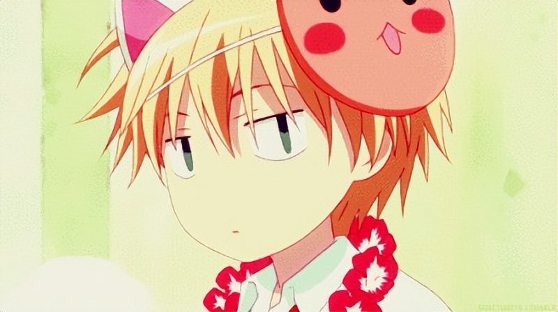 2022年飞机杯大盘点，前十排名飞机杯评测