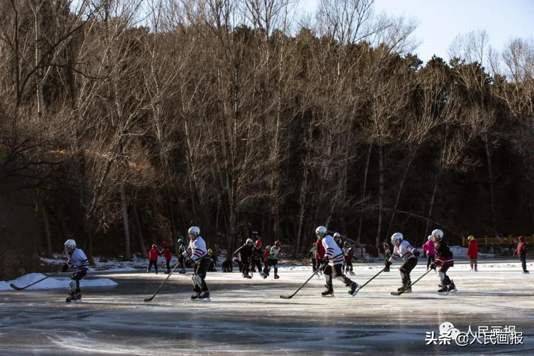 新春走基层新农人的绿色田园梦,新春走基层希望的田野上