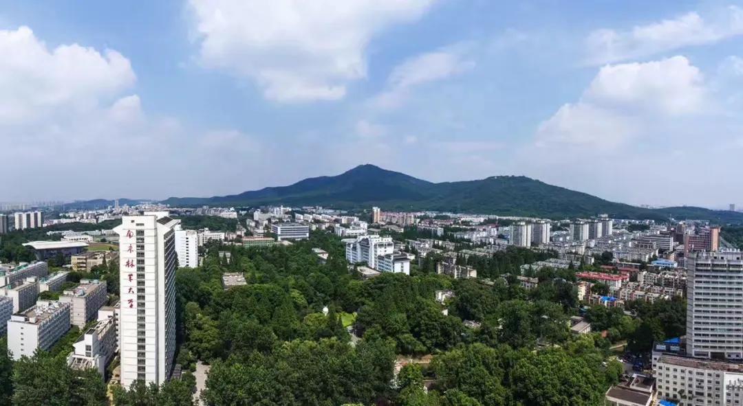 南农和南林区别,南农与南林关系