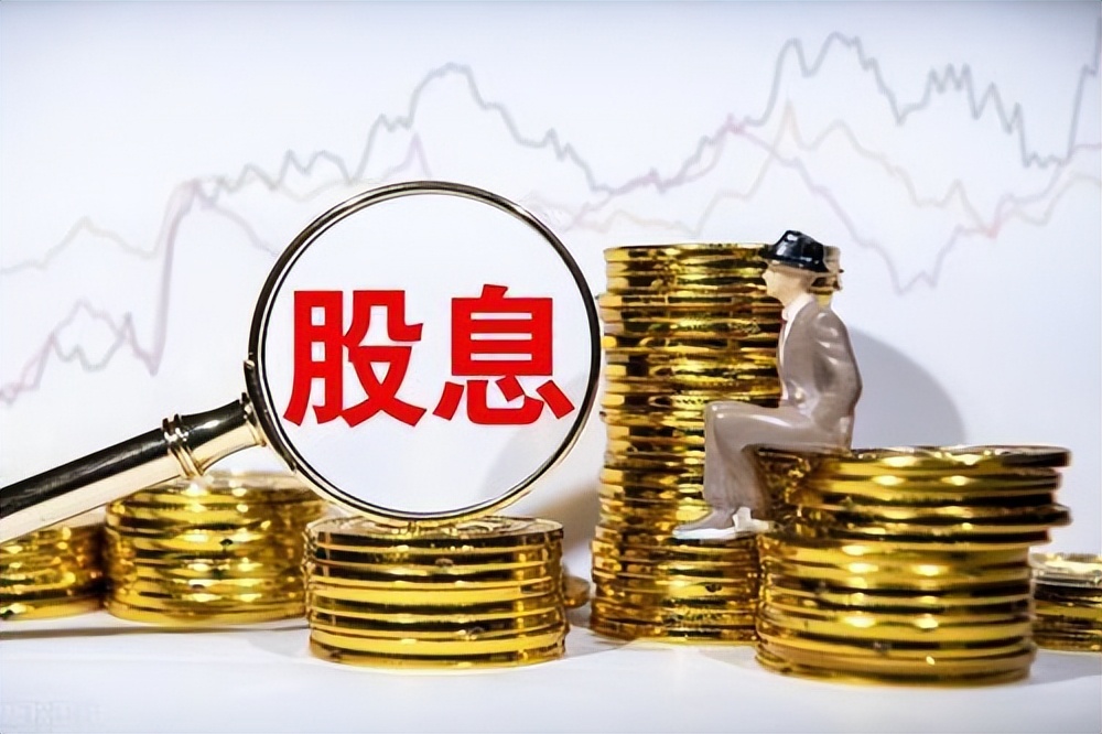 股票股息率是哪个指标,买什么股票才有股息分红