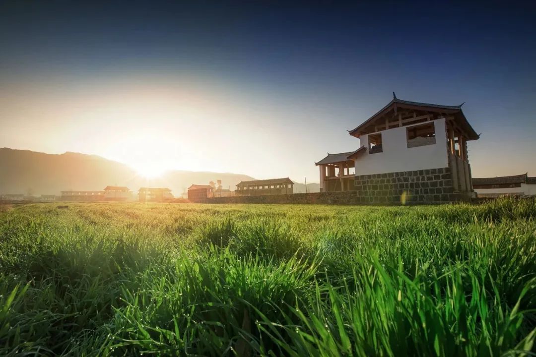 乡村振兴谋划不全不细典型案例,国内外乡村振兴典型代表及案例