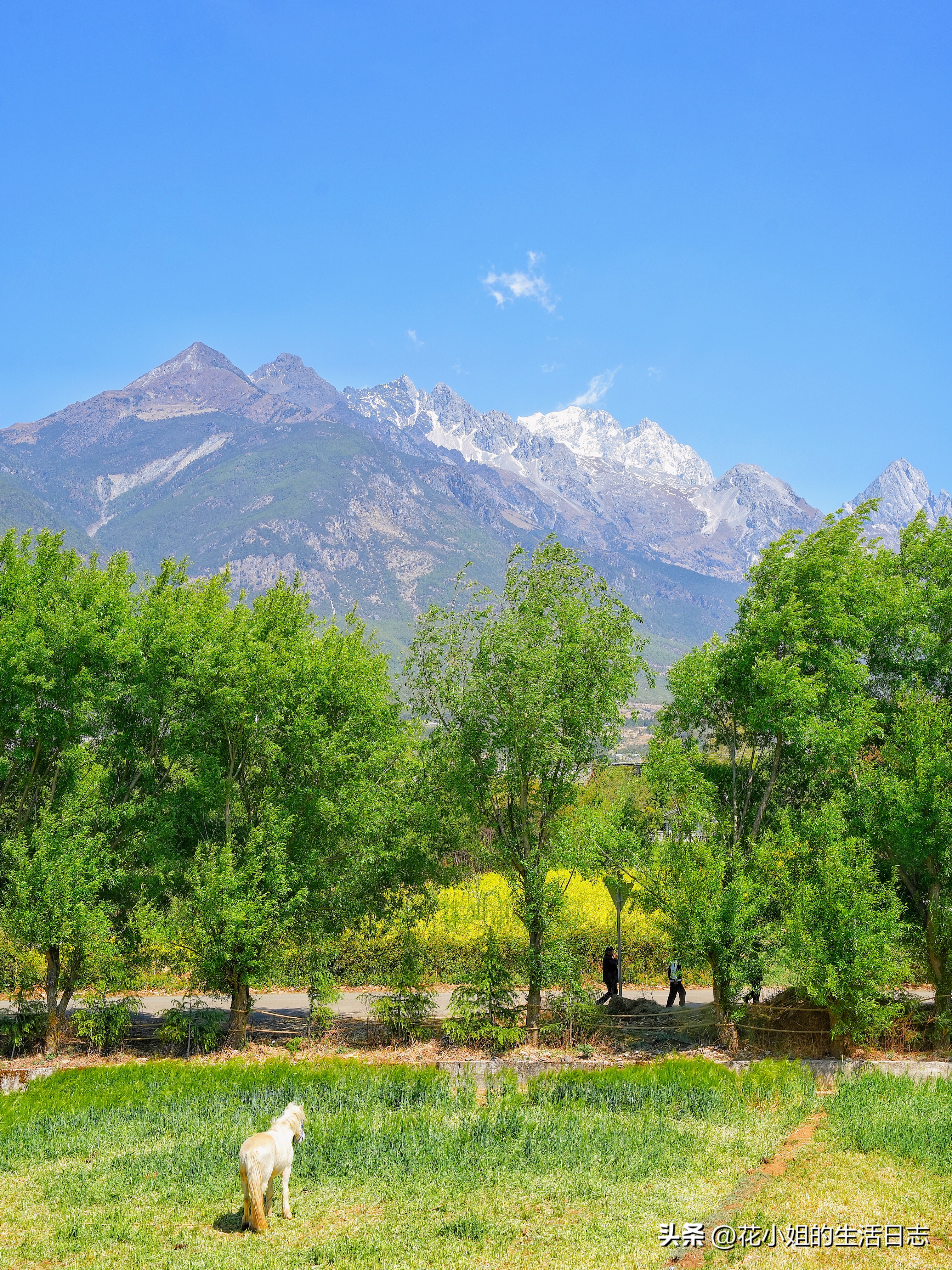 丽江束河古镇民宿价格表,丽江住一晚3000元的酒店
