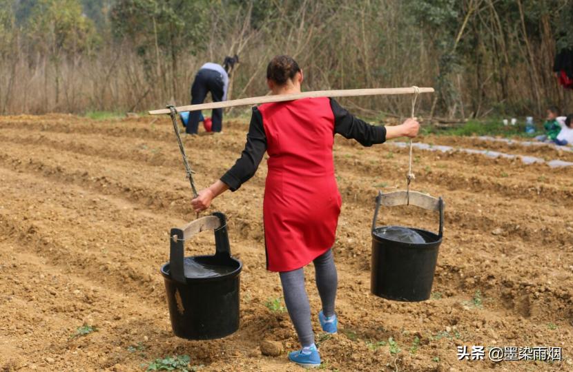 消失的17个老行当,北方永久消失的6个老行当