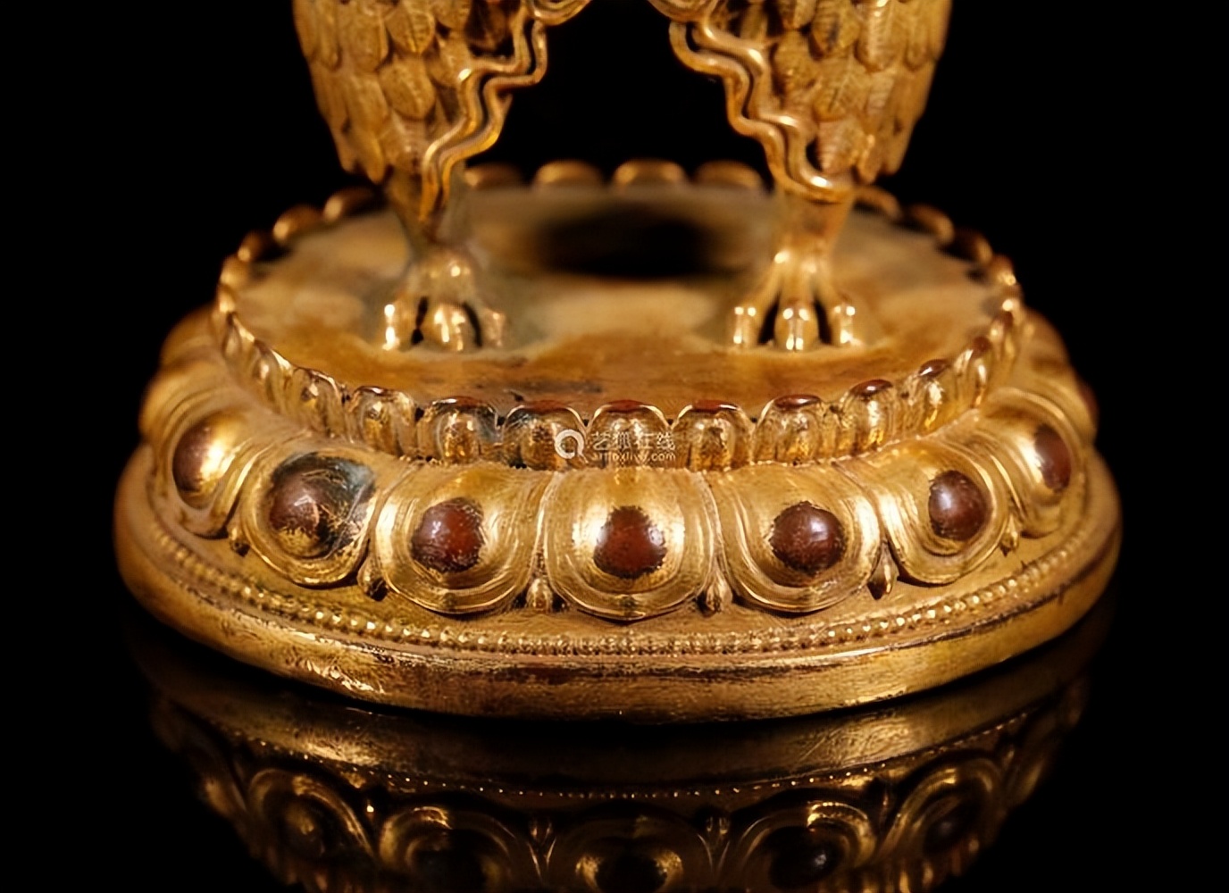 金翅鸟图像分析,金翅鸟视频大全