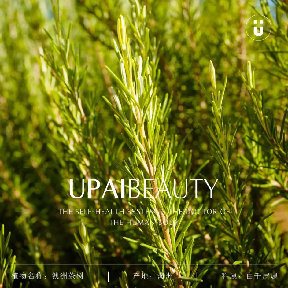 u牌化妆品能祛痘吗,u牌化妆品祛痘怎么样