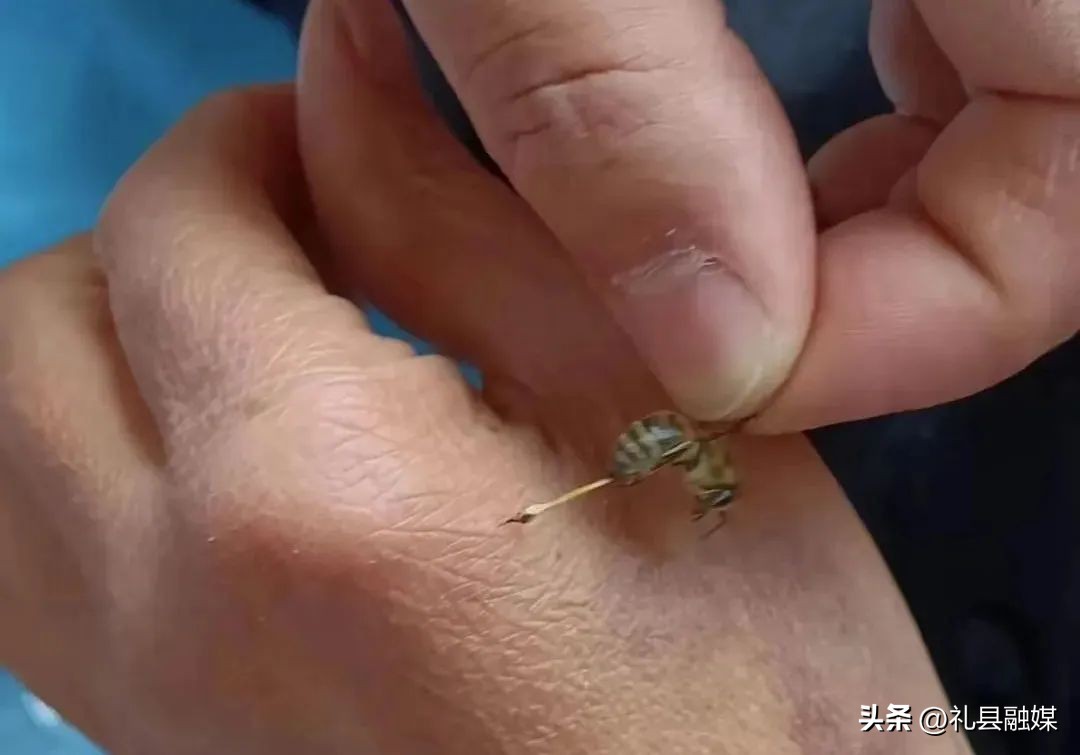 我为群众办实事扶贫,我为群众办实事解决农民饮水问题