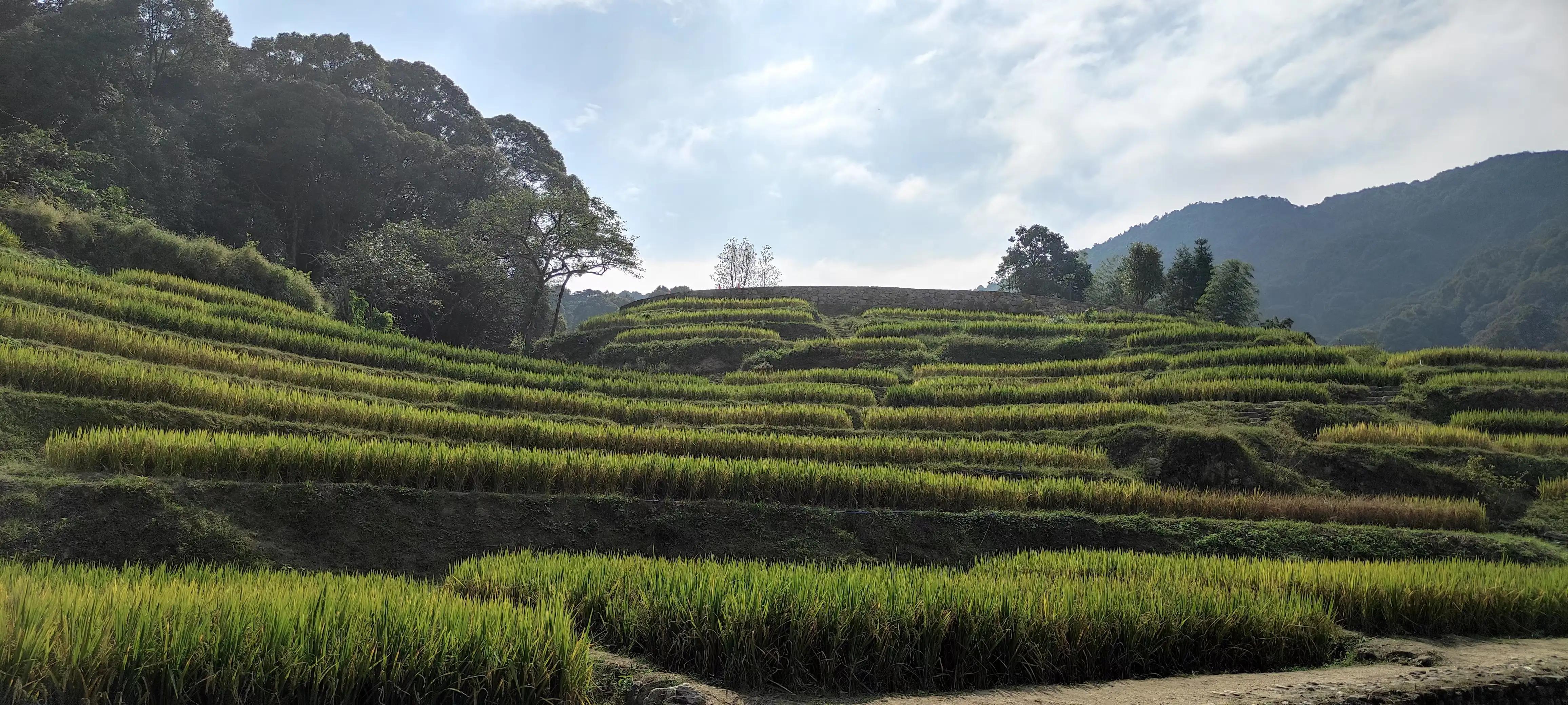 广州从化后花园,从化是广州的后花园吗