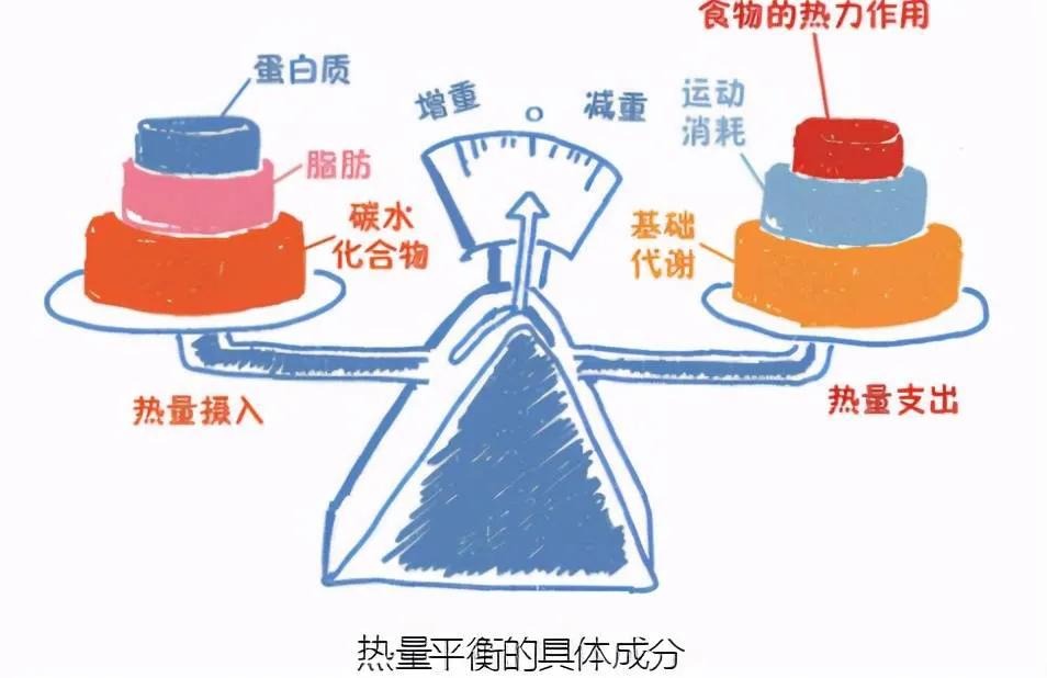 怎样做才能减去腹部赘肉,原地摆臂能否减去腹部赘肉