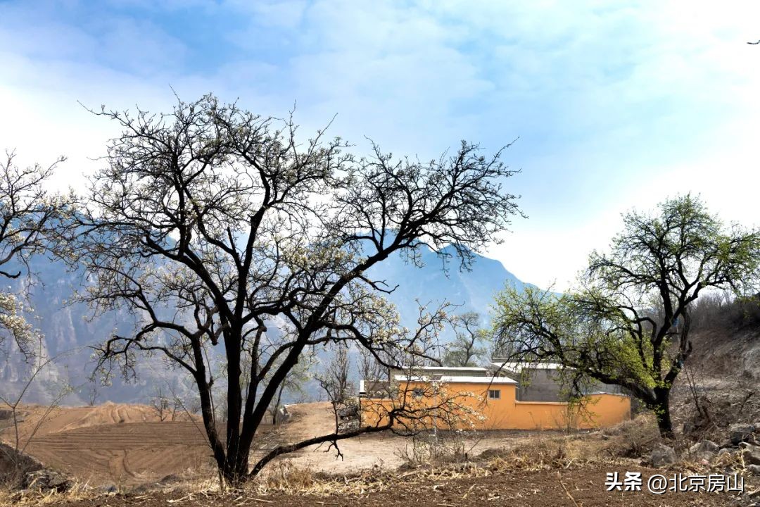 魅力乡村摄影大赛,魅力韩村河