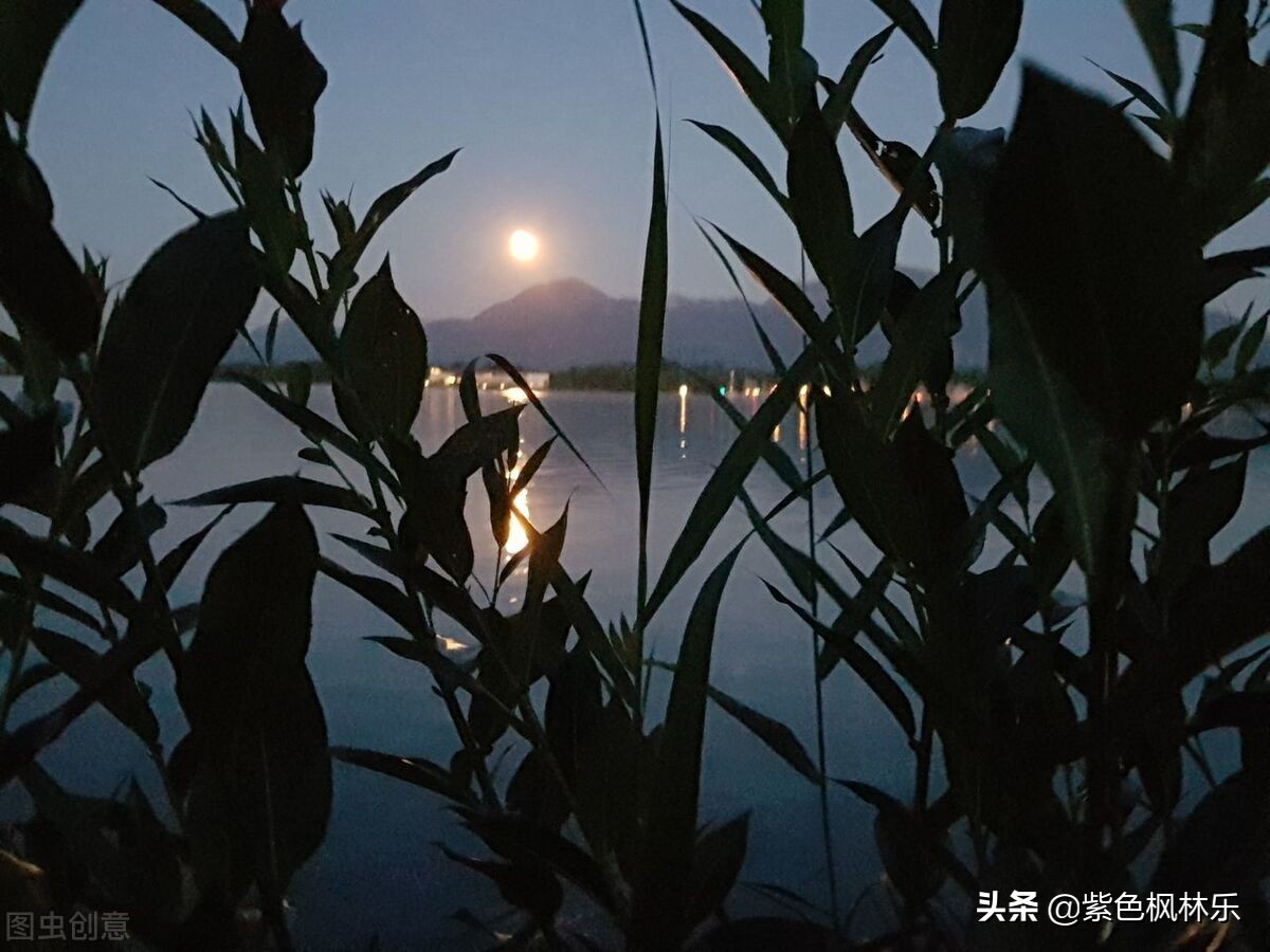 鏂板啝绾惧洶,鏂板啝閫嗗悜鍓嶈