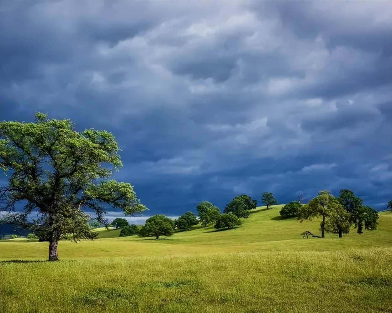 减肥养生忽悠人的套路,骗人的减肥办法都有哪些要避坑