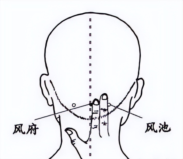 肾藏精，其华在发，中医助你“守住”发际线