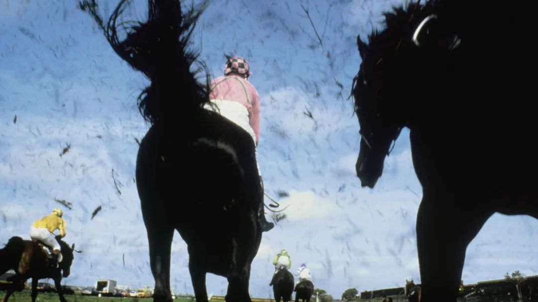 别关电视！电影音乐晚会过后，12部佳片即将放送
