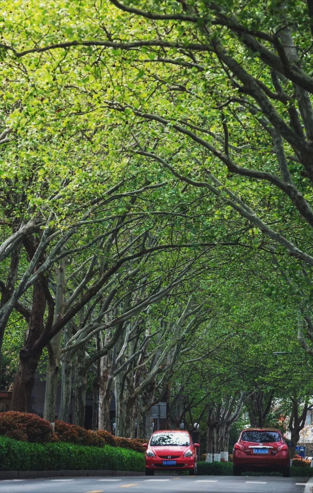 济南值得推荐的休闲好去处,济南必逛风景点
