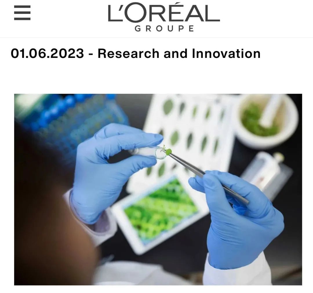 欧莱雅投资合成生物公司，上游原材料布局再掀“风浪”？