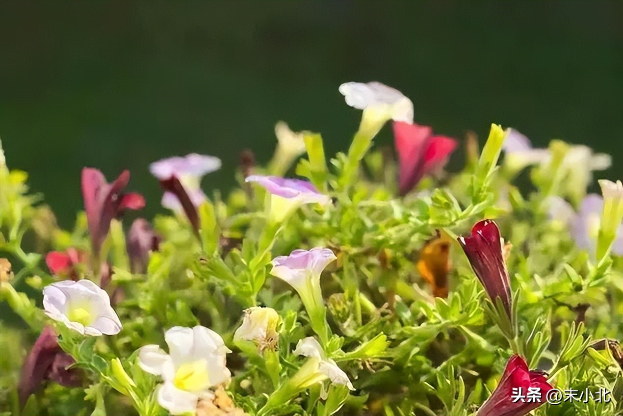 男人哄骗女人时，常说的三句“假话”，你听过几句？