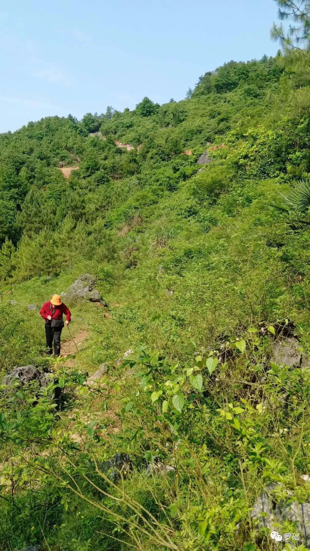 鐭虫湪灞卞,鐭虫湪瀵ㄥソ椋庡厜