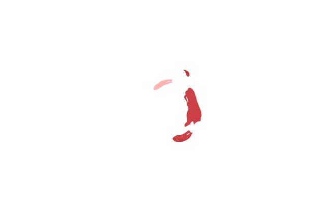 北华大学护理学院简介,河西学院护理学院风采