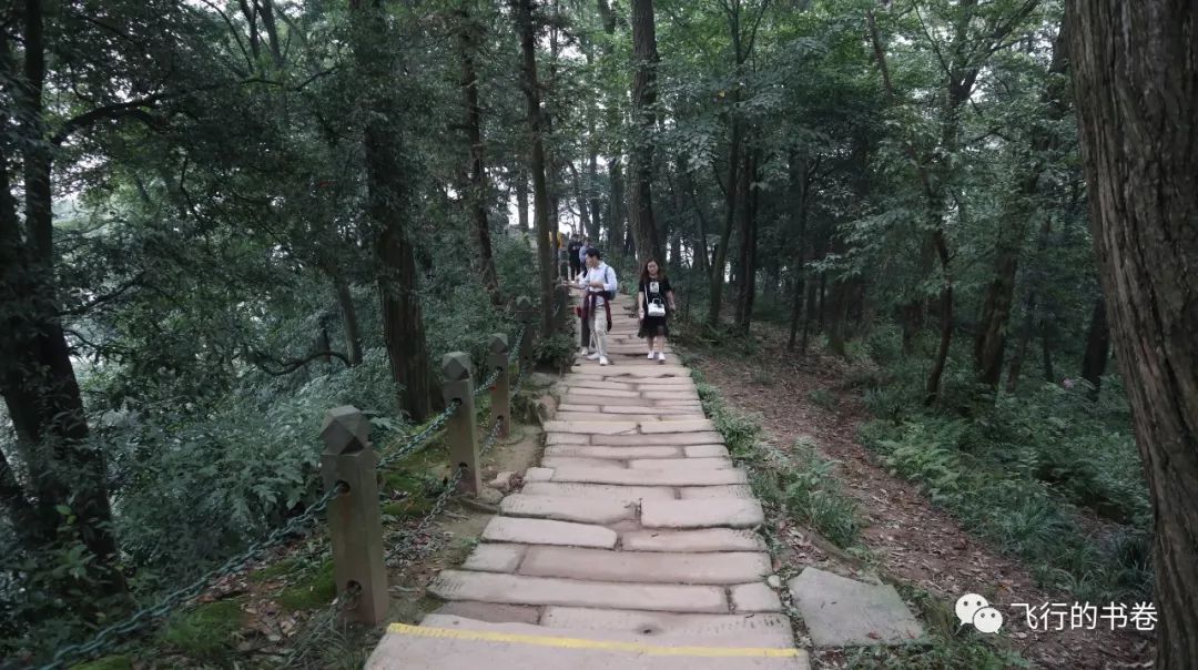 道教四大仙山你爬过几座,青城山为什么被称作道教第一山