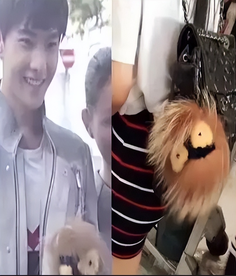 杨洋乔欣和王楚然,乔欣王楚然李沁