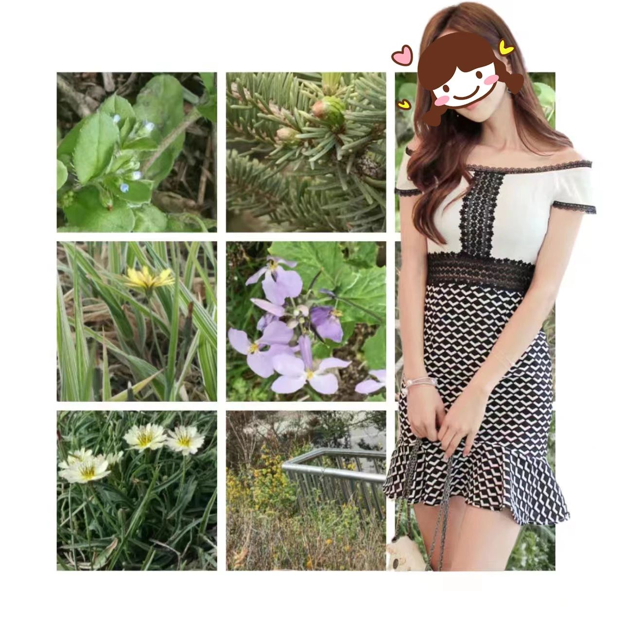 微信朋友圈如何发九宫格3d,3d九宫格朋友圈教程