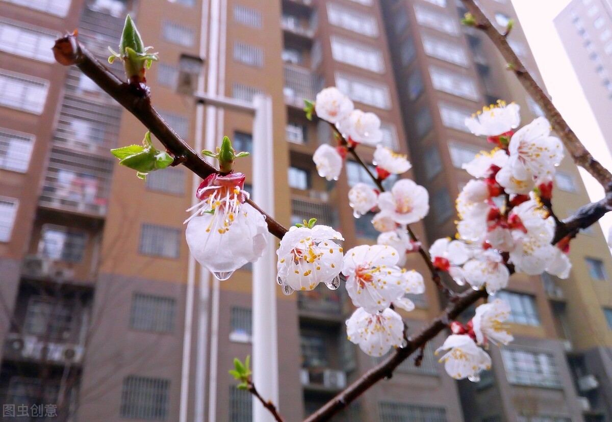 网友卖房要价350万卖方用体重给价250万,网友欣然接受,赚大发了