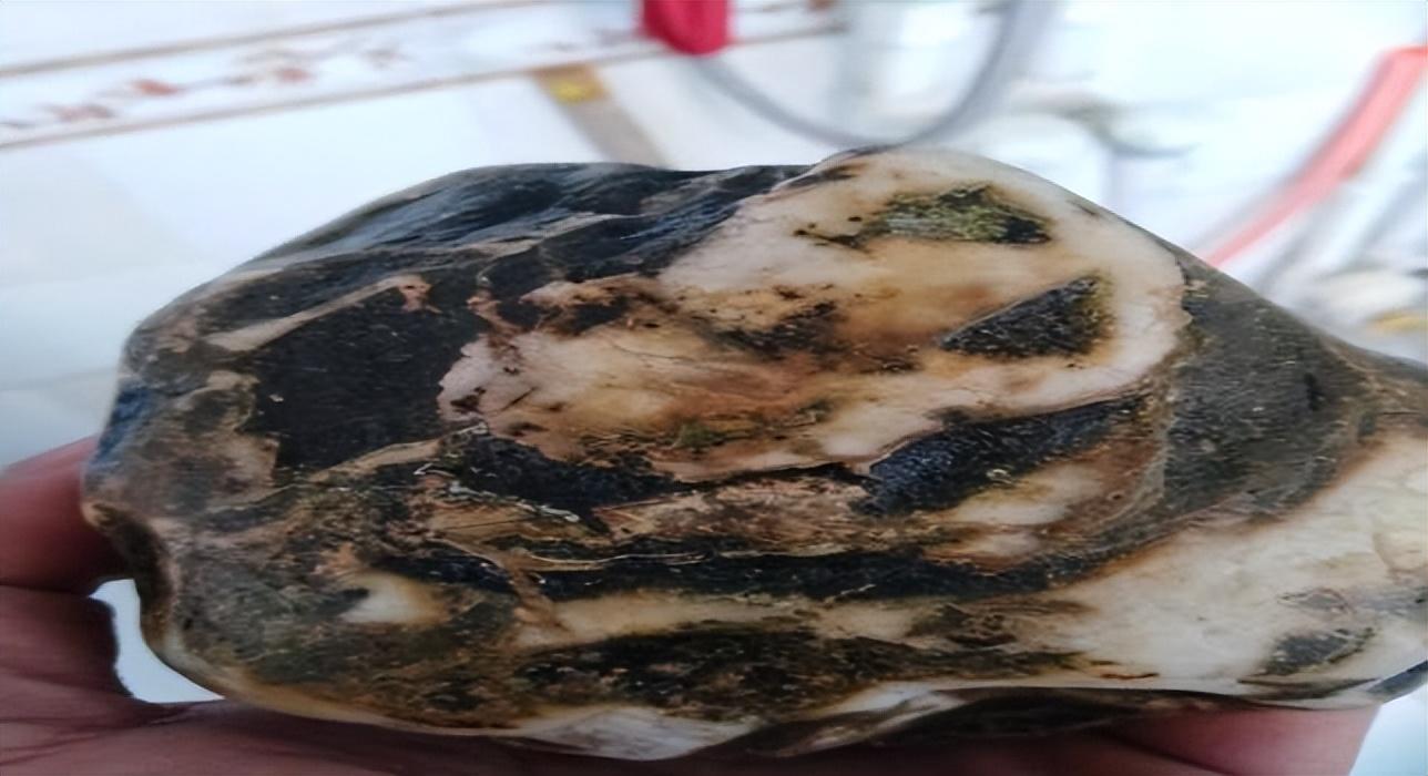 河沟捡熊猫奇石,捡到国宝熊猫奇石