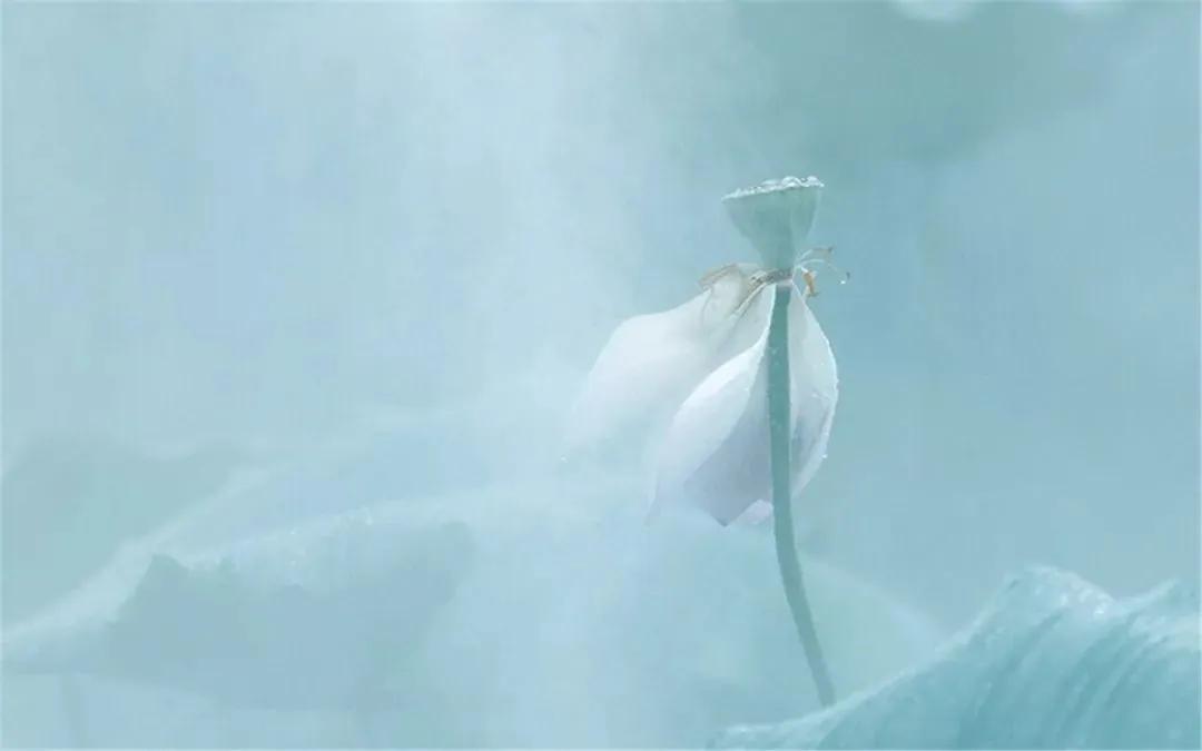 觉醒的秘诀有哪些,觉醒的基本原理