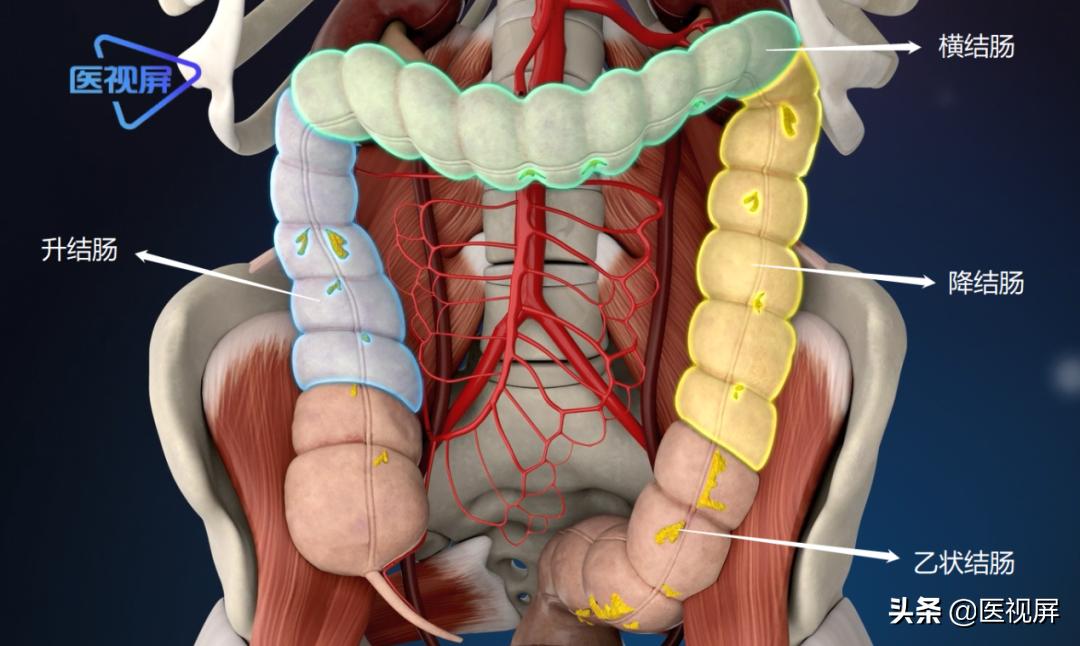 结肠肿瘤突变型多久长到15mm,直肠肿瘤长了23年