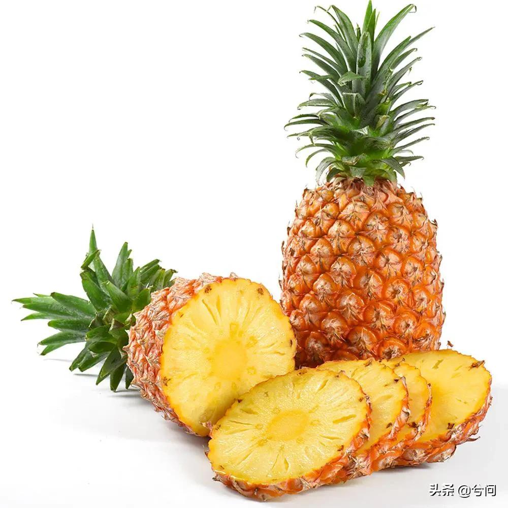 海南的水果特产有哪些？你知道几种？