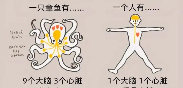 三千公里直径却有比地球更大海洋，欧罗巴一号看到的生物是真的？