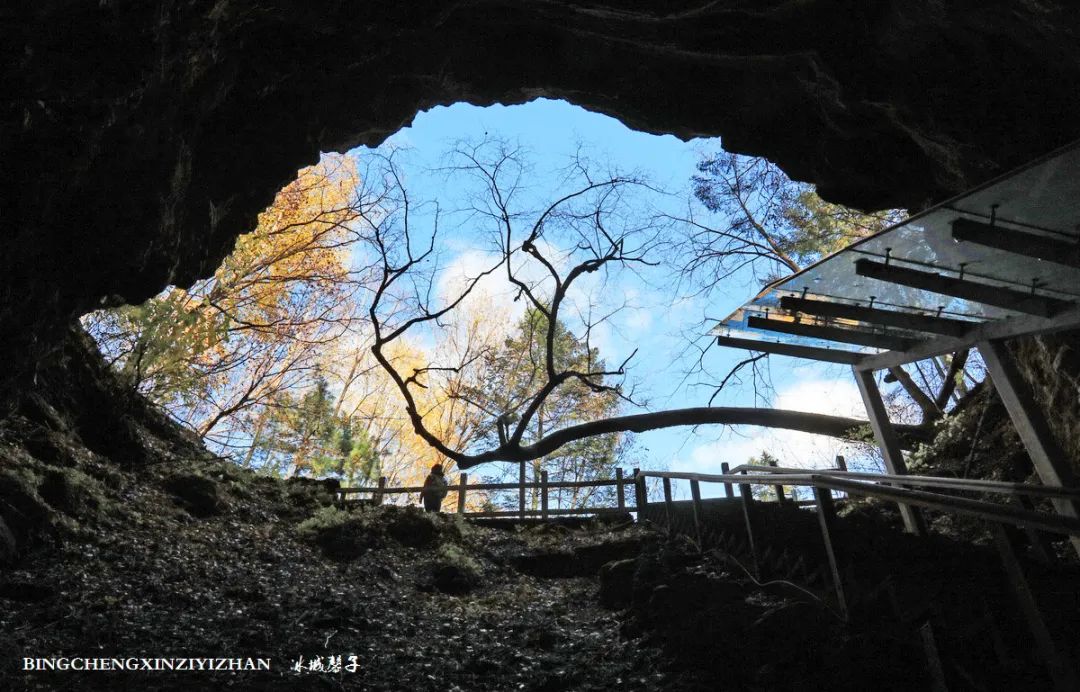 火山口国家森林公园与地下森林,清凉度夏探秘地下森林