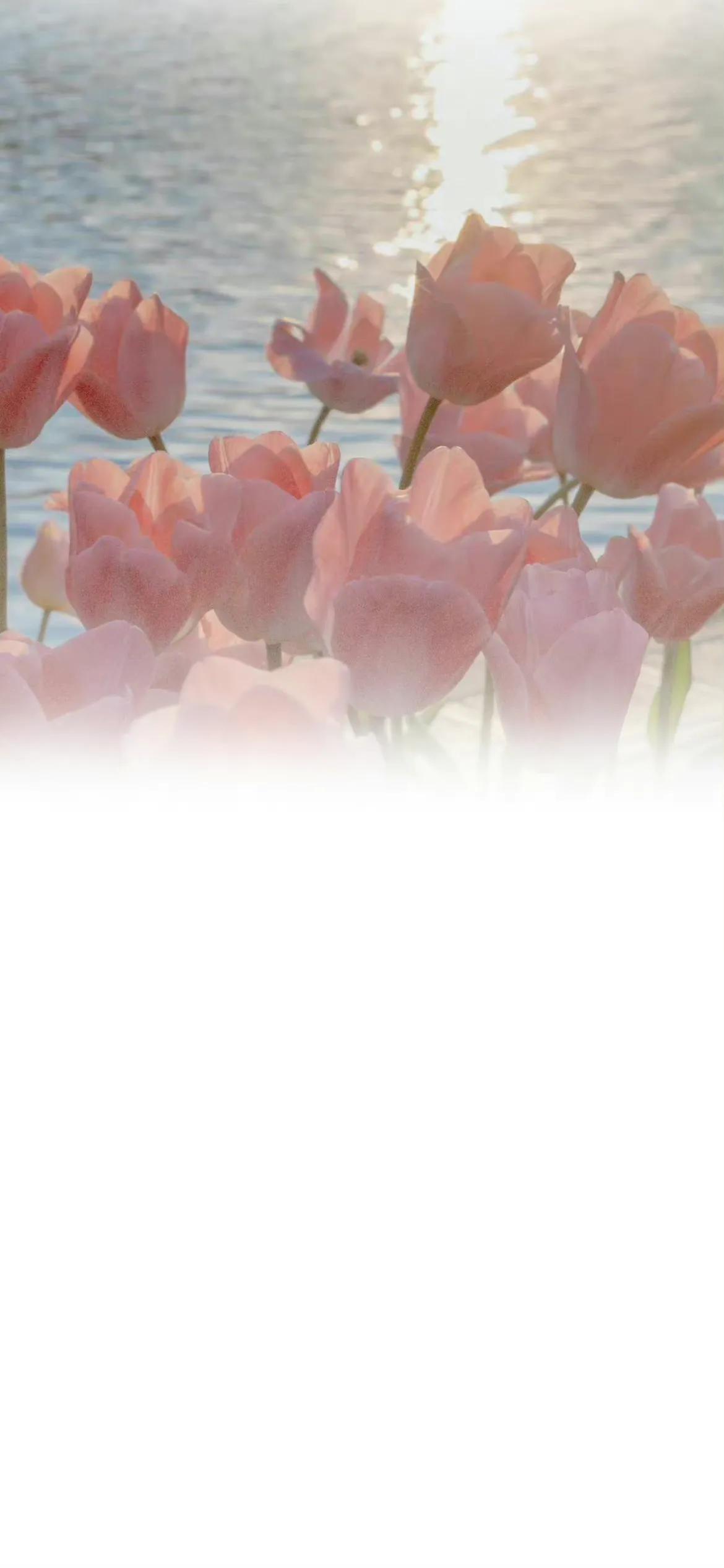 微信聊天背景渐变图,聊天背景壁纸图片彩色渐变