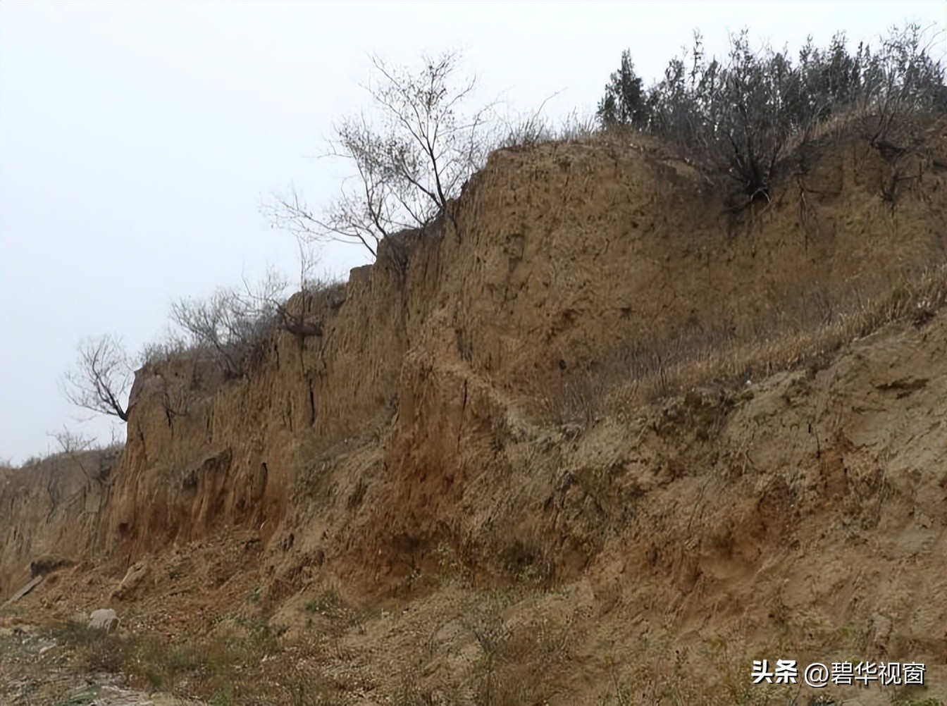 华夏子孙的人文始祖,炎黄子孙不忘始祖