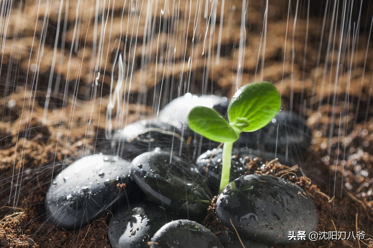 沈阳地铁7号线最新信息表,沈阳地铁四期规划7号线