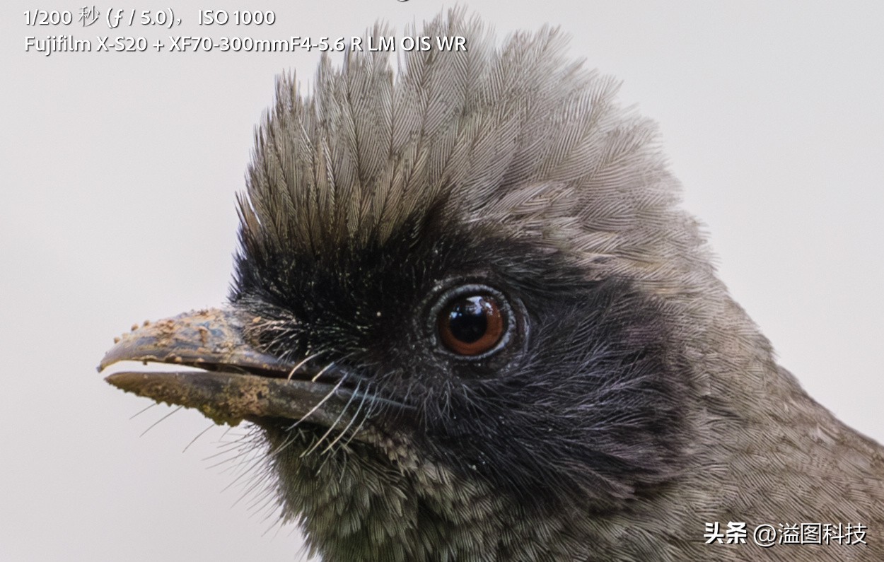 富士x-s20怎么原价购买,富士x-s20单机身价格