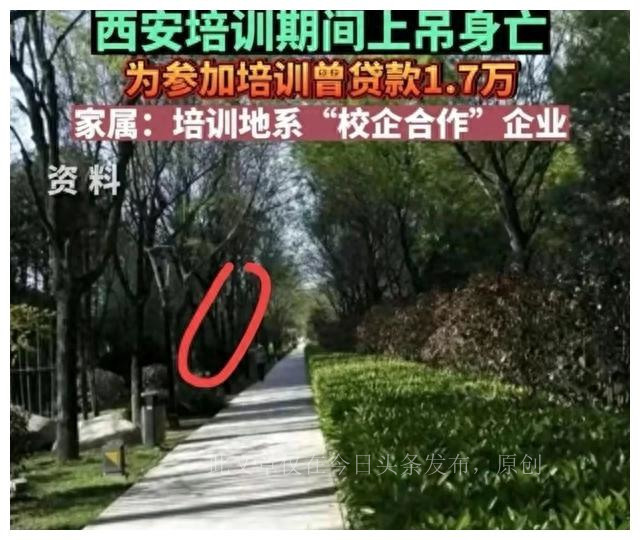 安康学院大学生自杀！学校为赚钱将课程推给第三方导致巨额*款贷**