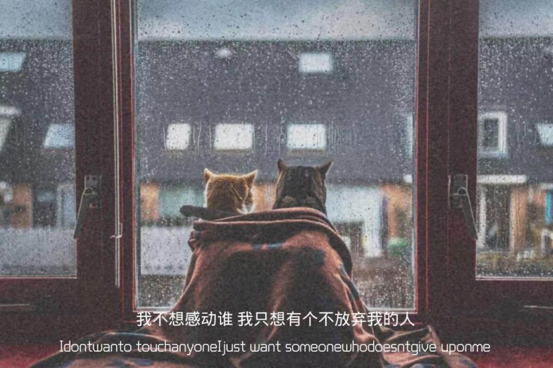 男女闺蜜间有纯友谊吗,男女之间存在纯友谊吗答案很明显