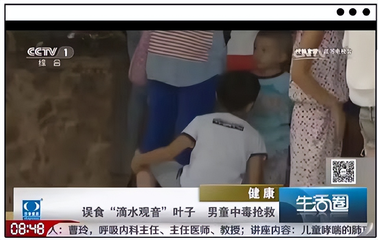 养花风水禁忌事项图片欣赏,露台养花风水禁忌图片大全