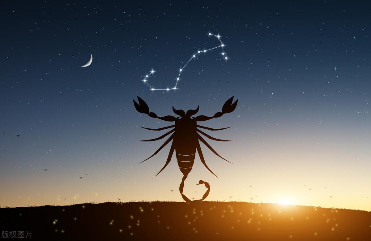 十二星座最适合做什么工作,十二星座最适合干什么工作